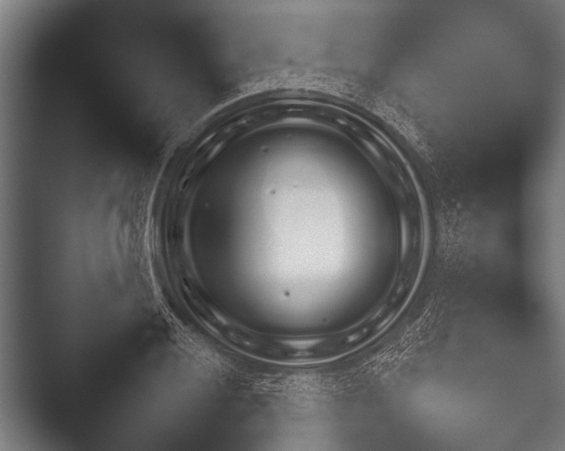 X0000052021028200507181621.png