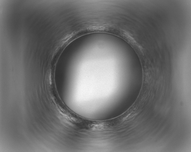 X0000055060068200508161656.png