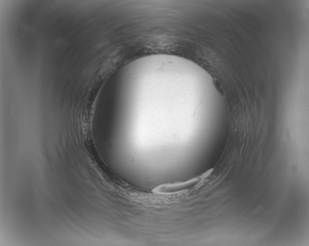 X0000055060040200508161657.png