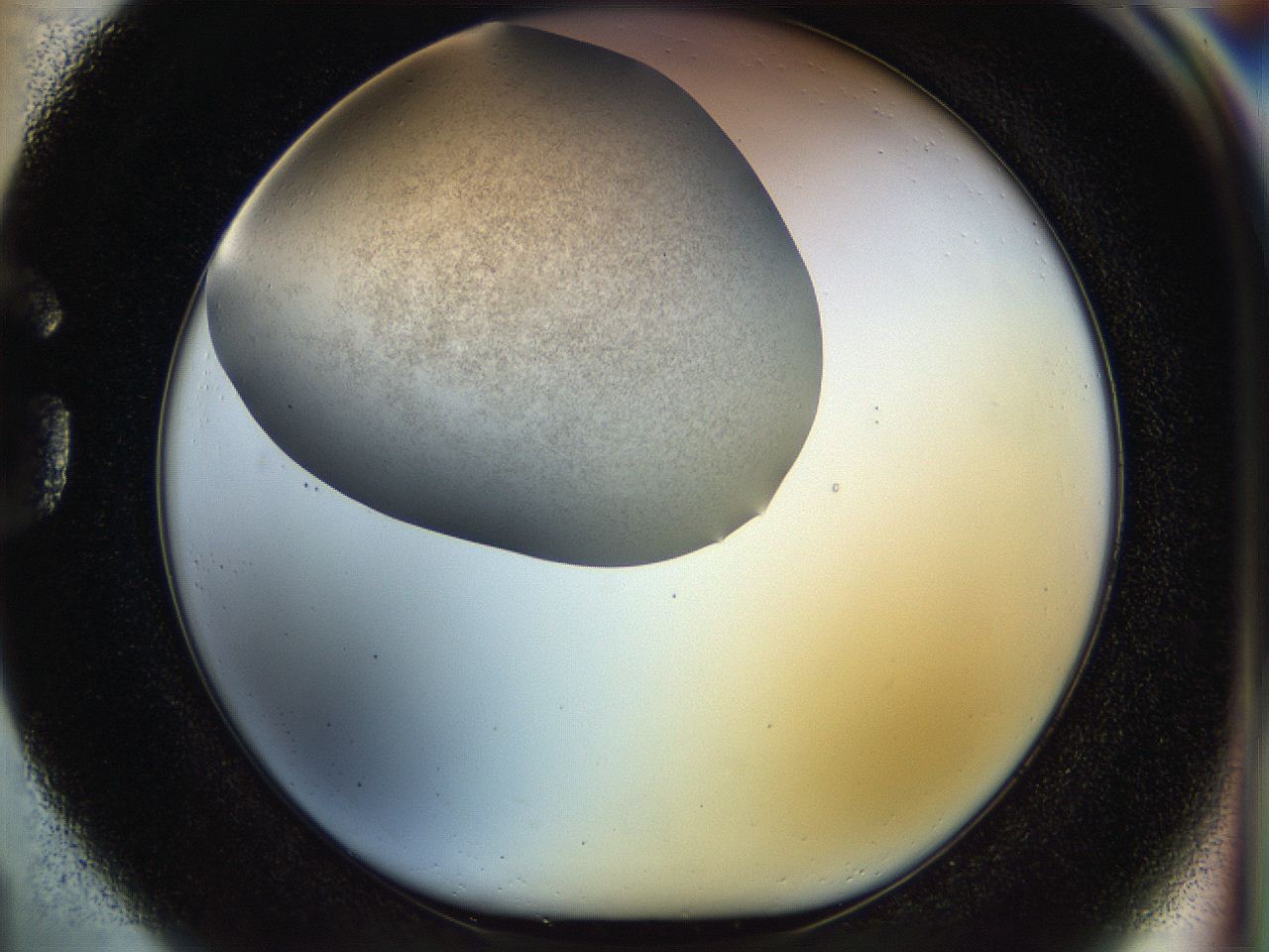056k_G1_ImagerDefaults_2.jpg