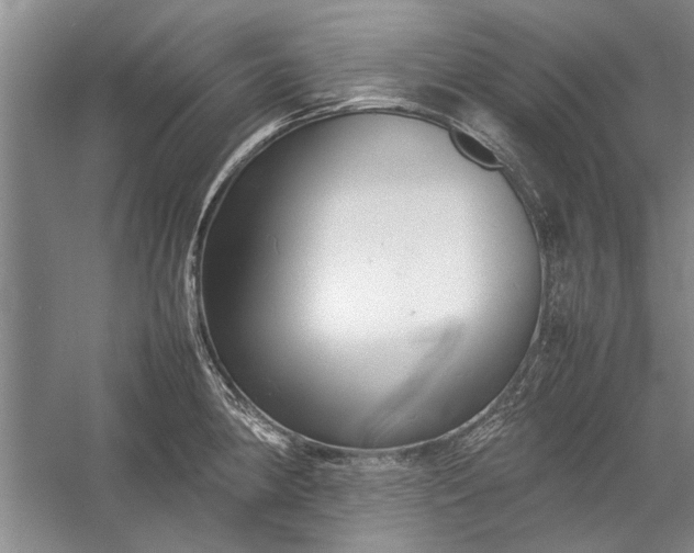 X0000055061190200508161637.png