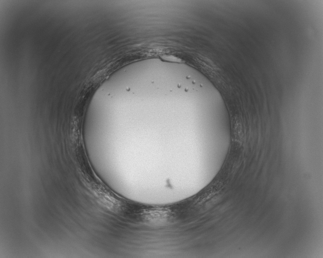 X0000055210318200508301328.png