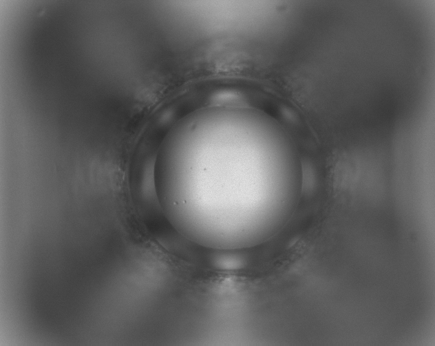 X0000054110316200508022106.png