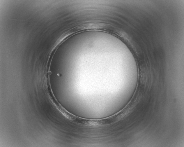 X0000054330794200508111918.png