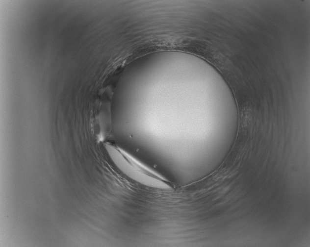 X0000055251202200509071606.png