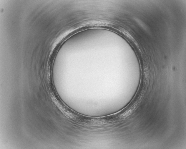 X0000054230981200508171506.png