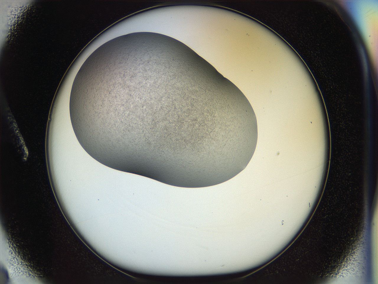 056k_A3_ImagerDefaults_2.jpg