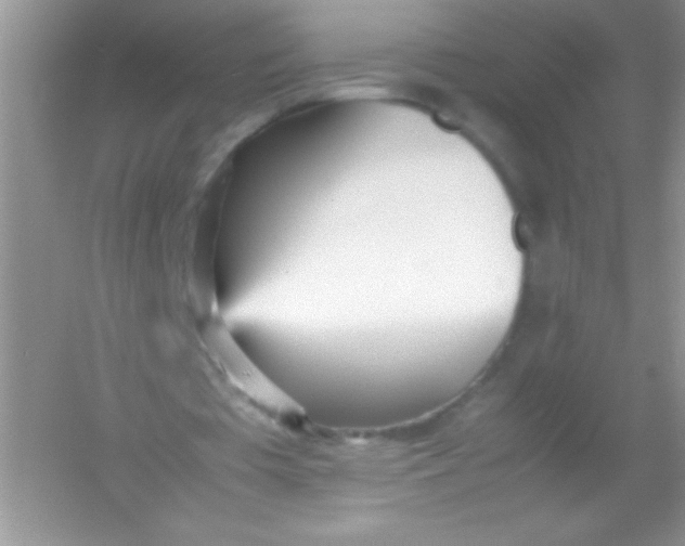 X0000054330385200508111925.png