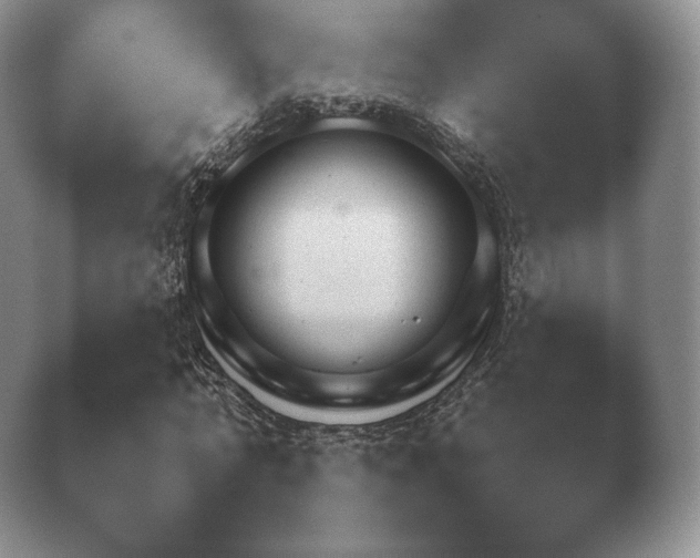 X0000040730774200410201650.png