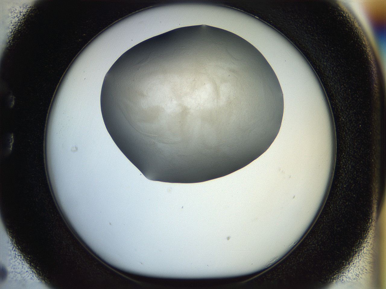 056k_C5_ImagerDefaults_2.jpg