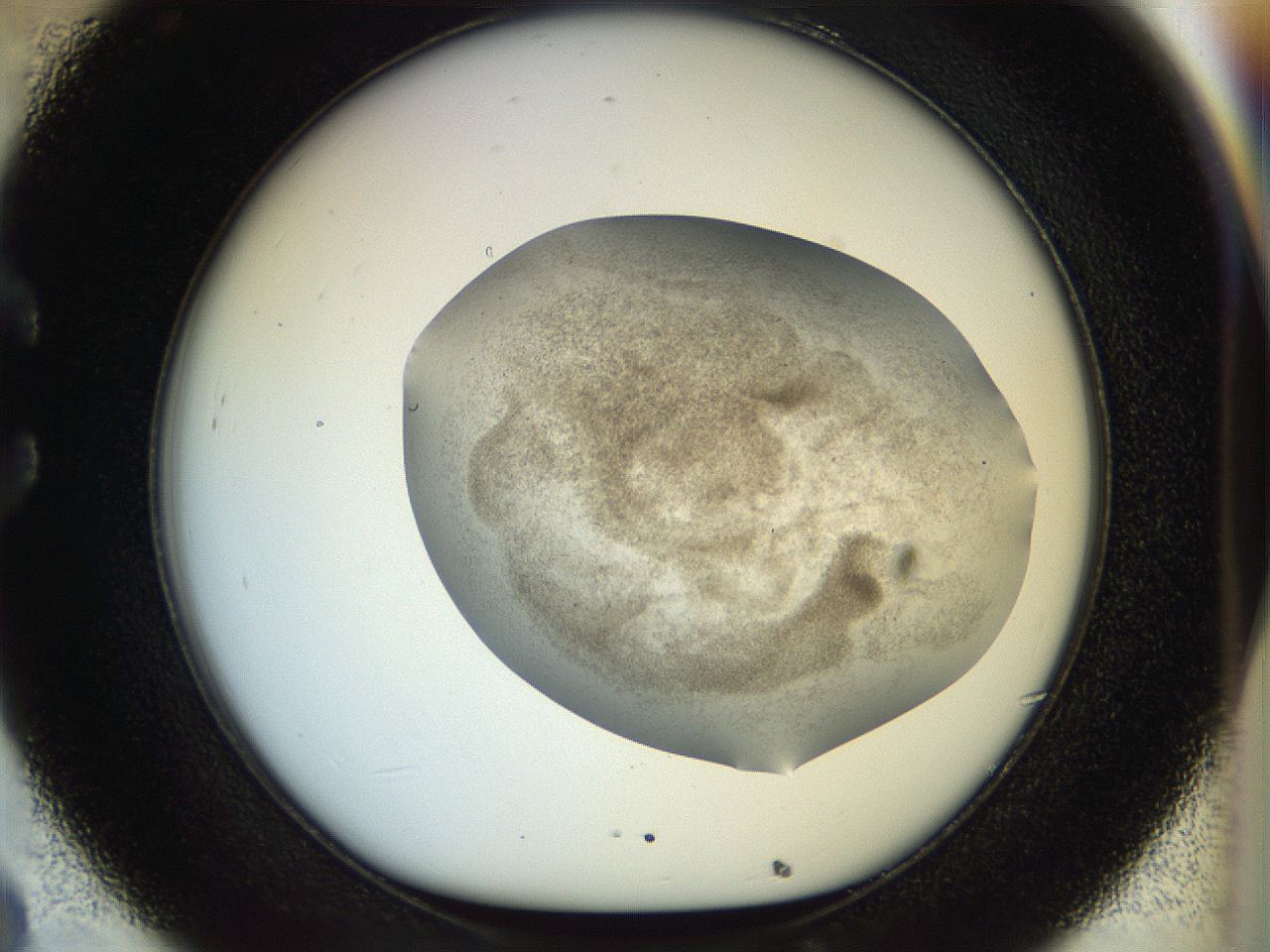 056k_C8_ImagerDefaults_3.jpg
