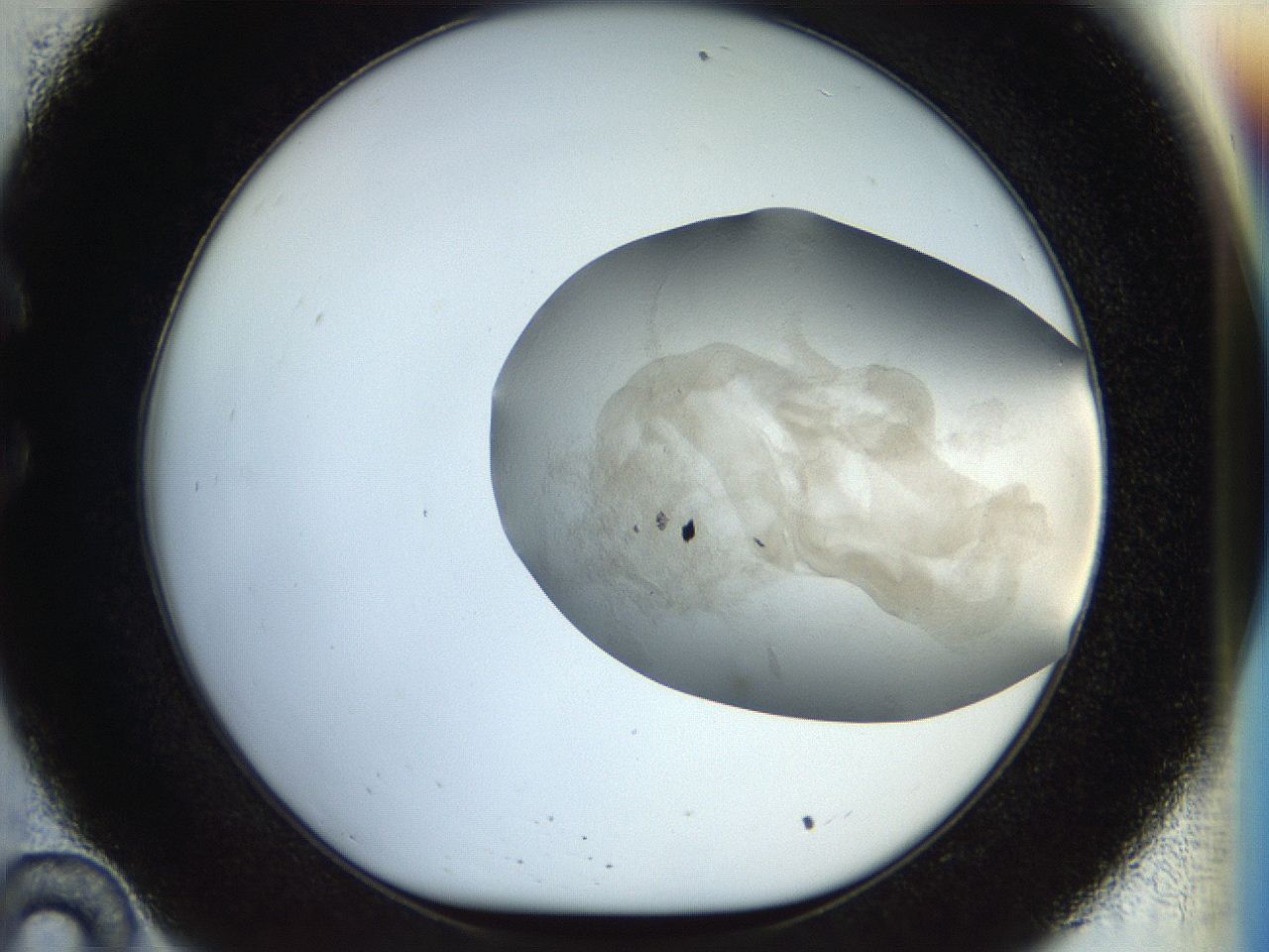 056k_C10_ImagerDefaults_6.jpg