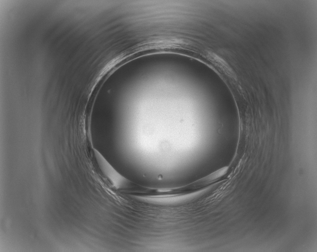 X0000055061226200508161637.png