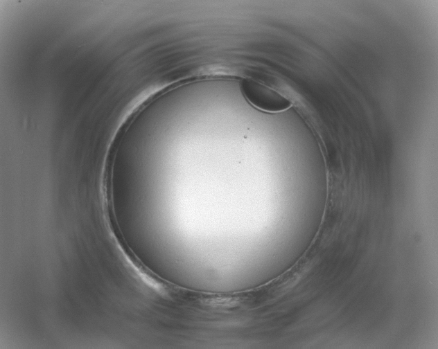 X0000054331141200508111912.png