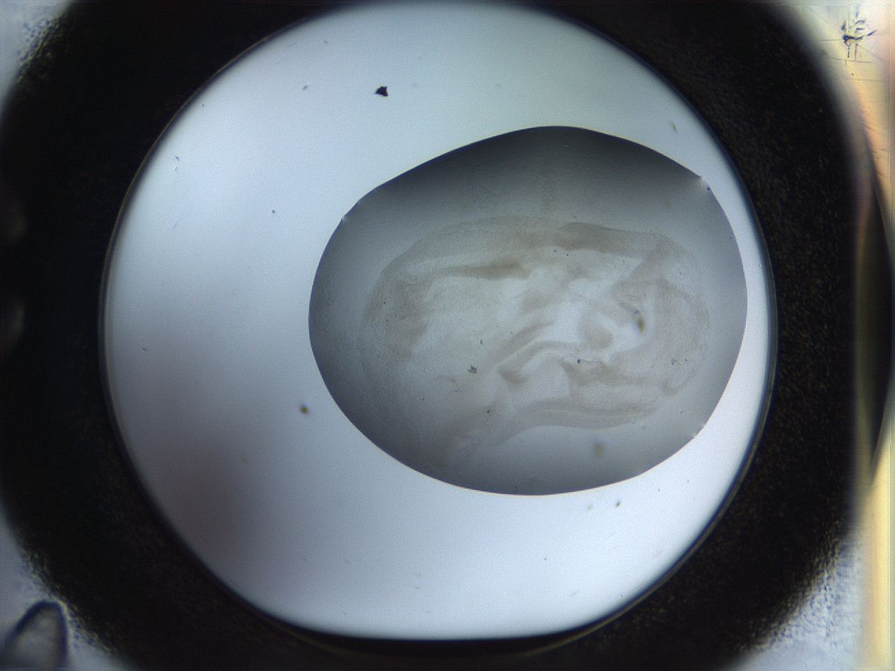 056k_C11_ImagerDefaults_2.jpg