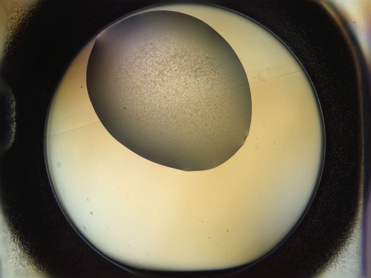 056k_D1_ImagerDefaults_2.jpg