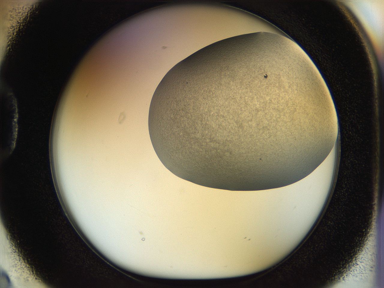 056k_D2_ImagerDefaults_2.jpg
