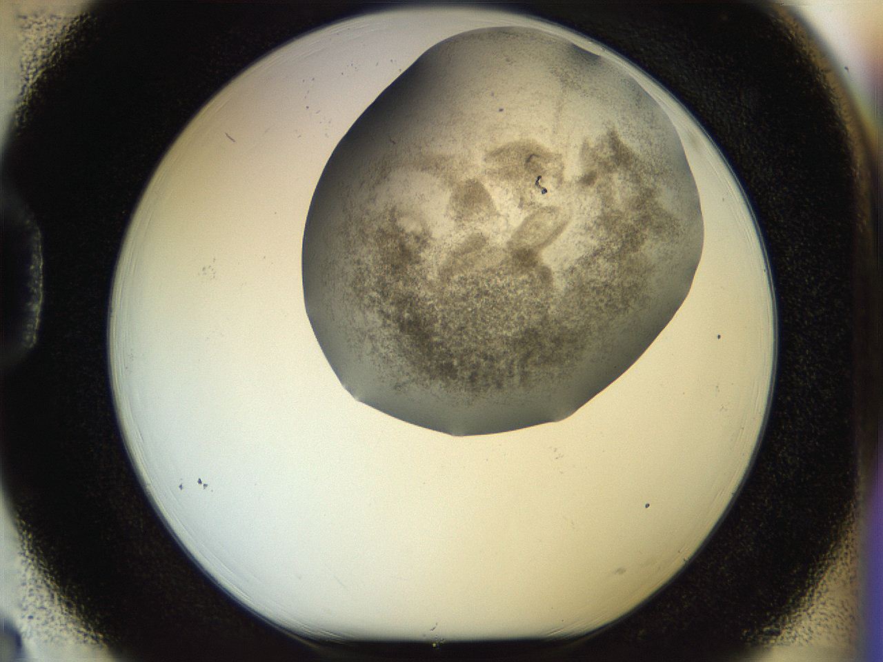 056k_D3_ImagerDefaults_3.jpg
