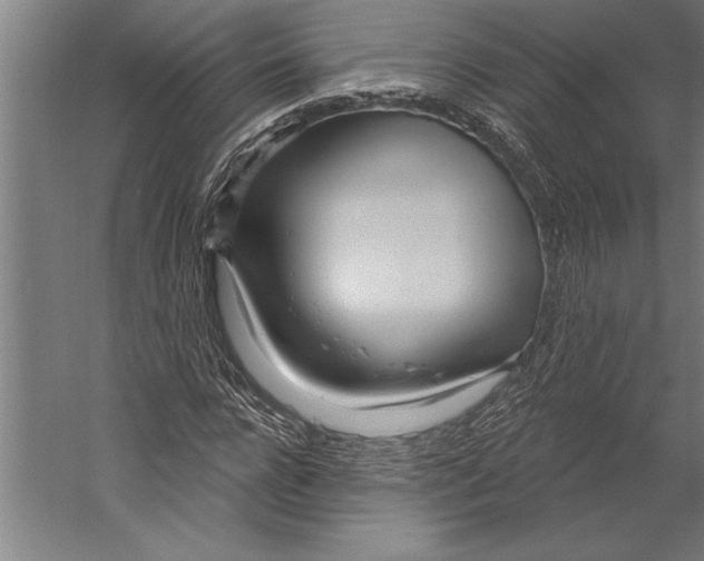 X0000055250920200509071611.png