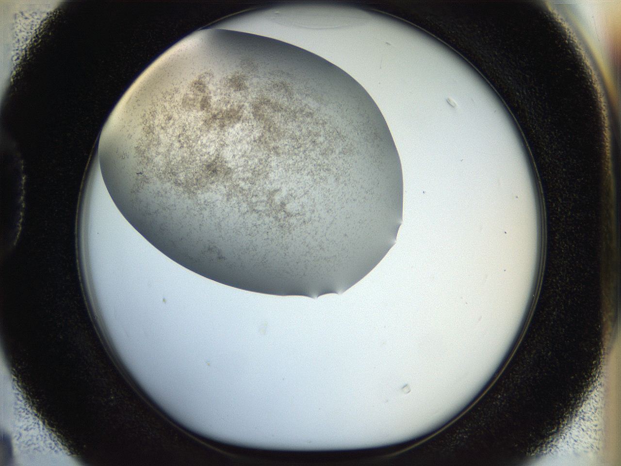 056k_D4_ImagerDefaults_3.jpg