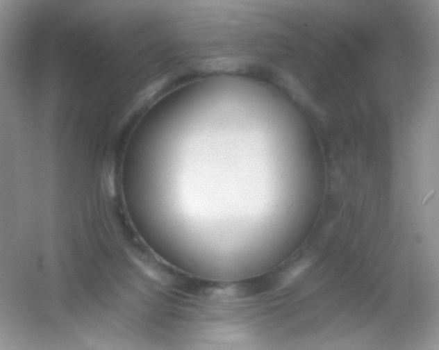 X0000054330068200508111930.png