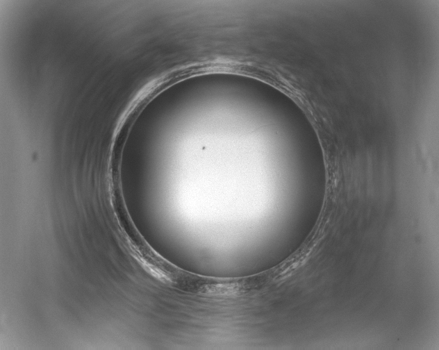 X0000055060102200508161656.png