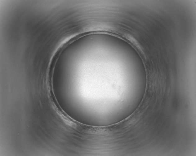 X0000054331072200508111913.png