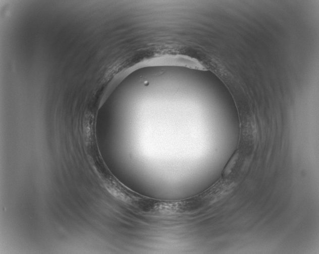 X0000055060084200508161657.png