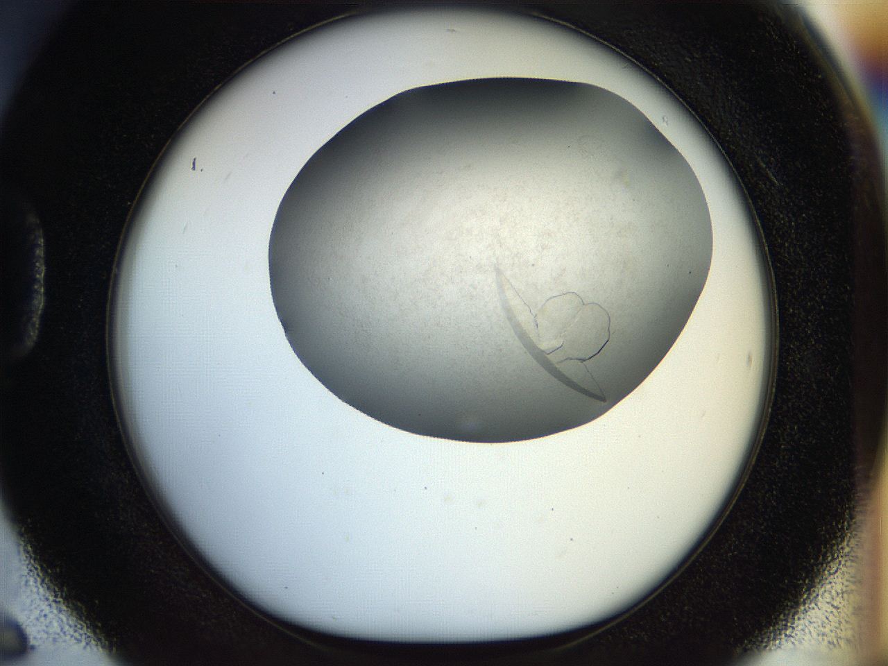 056k_D6_ImagerDefaults_9.jpg