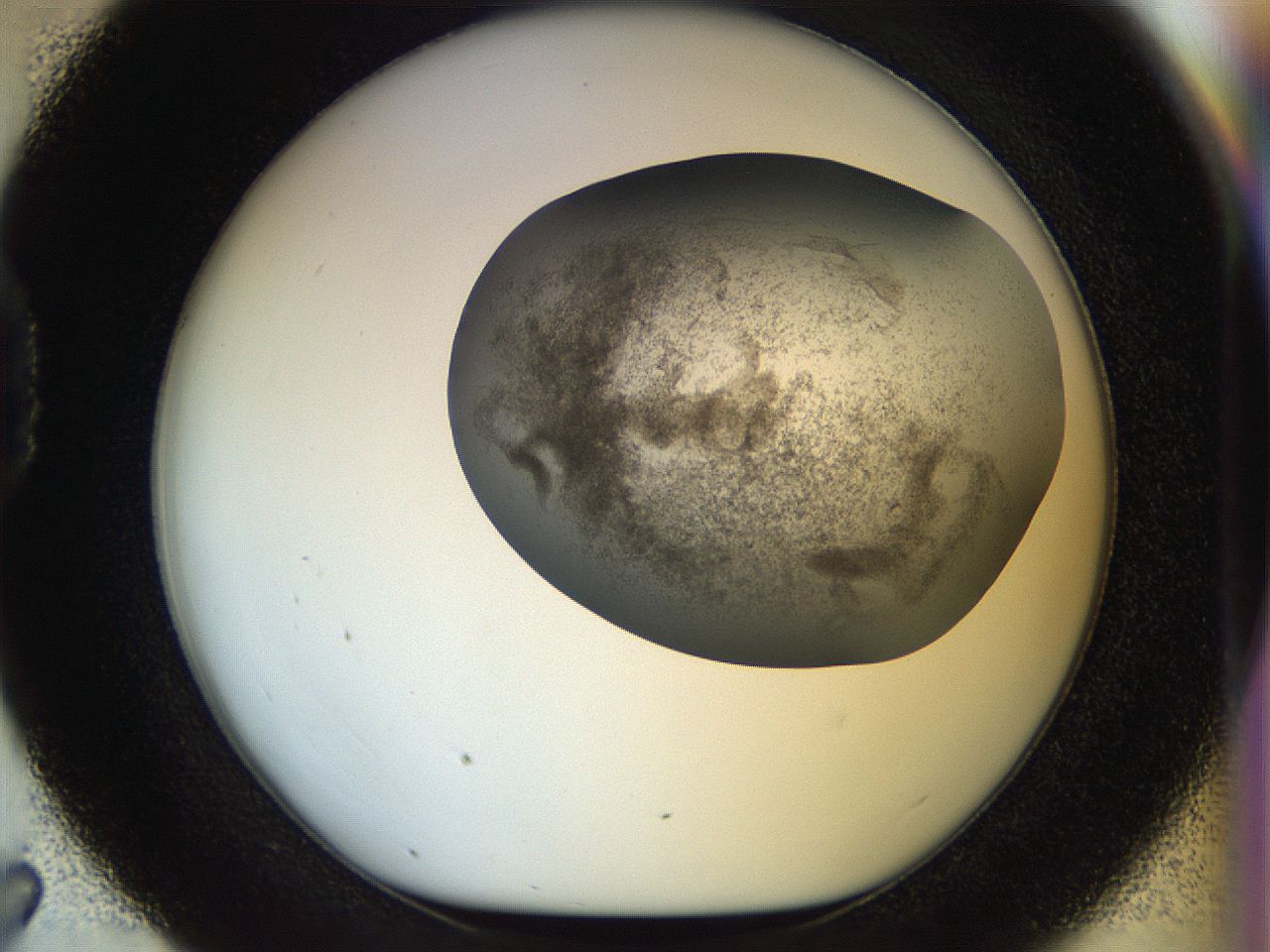 056k_D7_ImagerDefaults_3.jpg