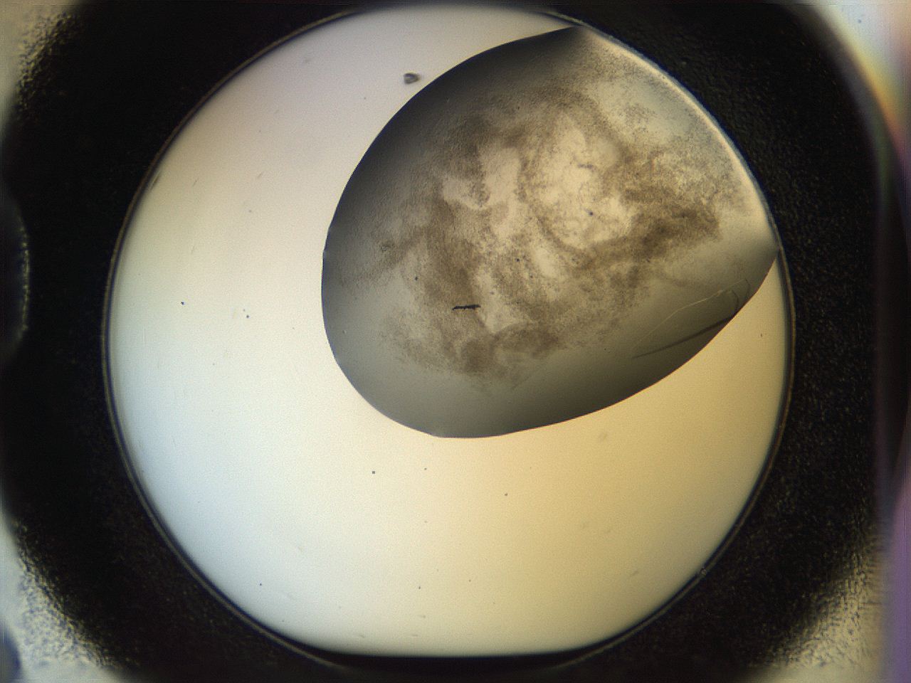 056k_D8_ImagerDefaults_8.jpg