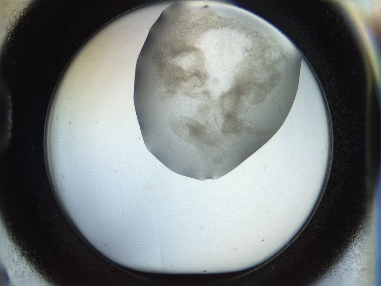056k_D9_ImagerDefaults_3.jpg