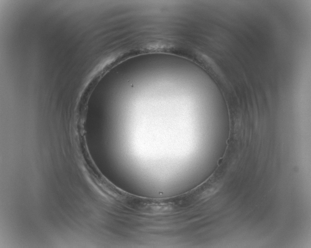 X0000054330443200508111923.png