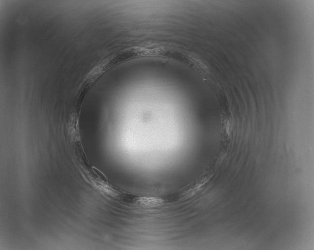 X0000055210429200508301327.png