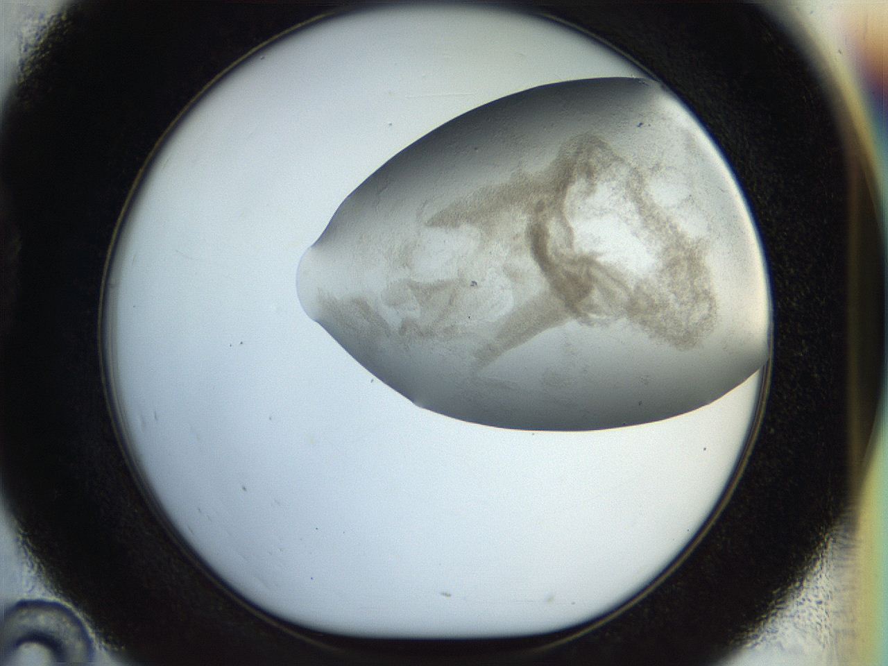 056k_D10_ImagerDefaults_3.jpg