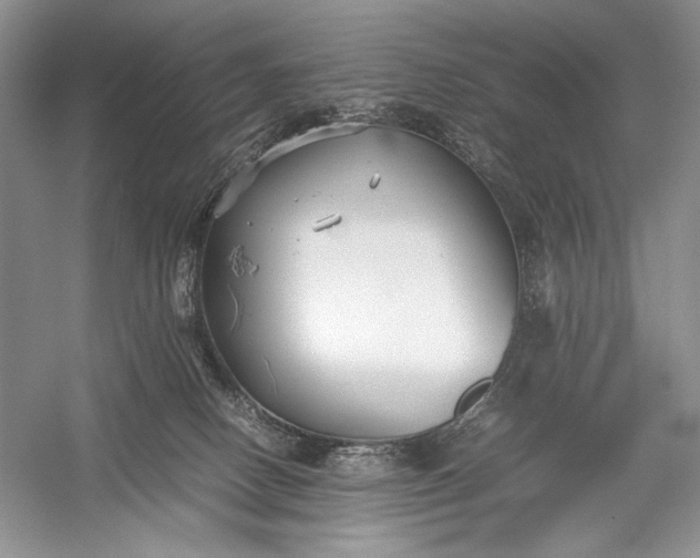 X0000055060082200508161657.png