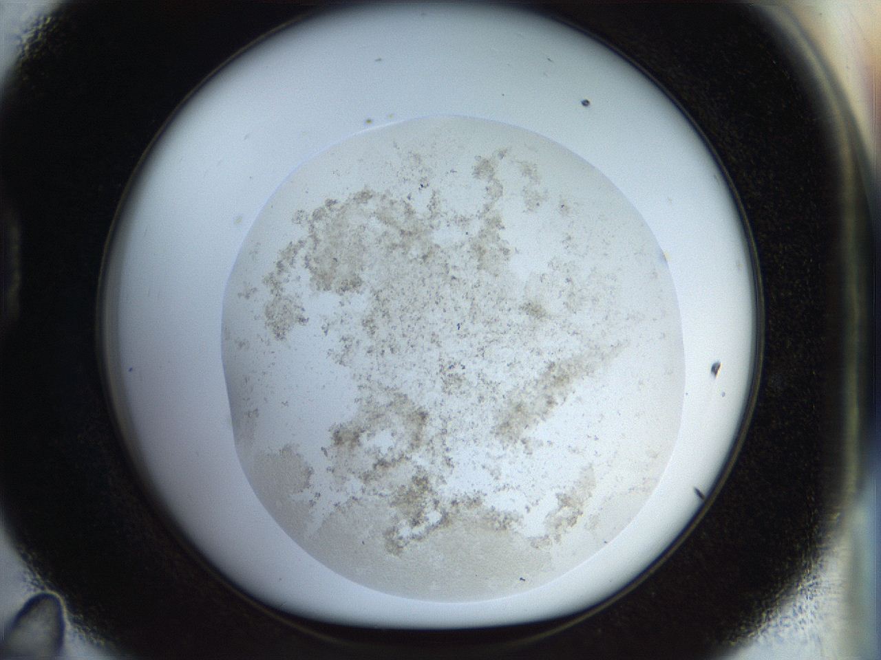 056k_D11_ImagerDefaults_3.jpg