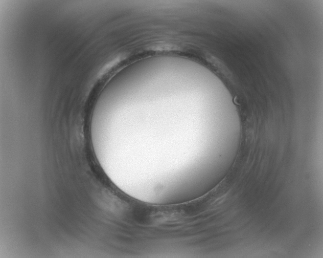 X0000054330727200508111918.png