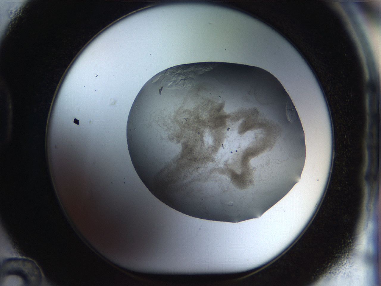 056k_D12_ImagerDefaults_6.jpg