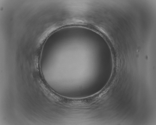 X0000054651455200508091629.png
