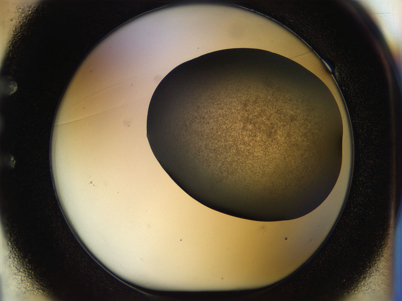 056k_E1_ImagerDefaults_3.jpg