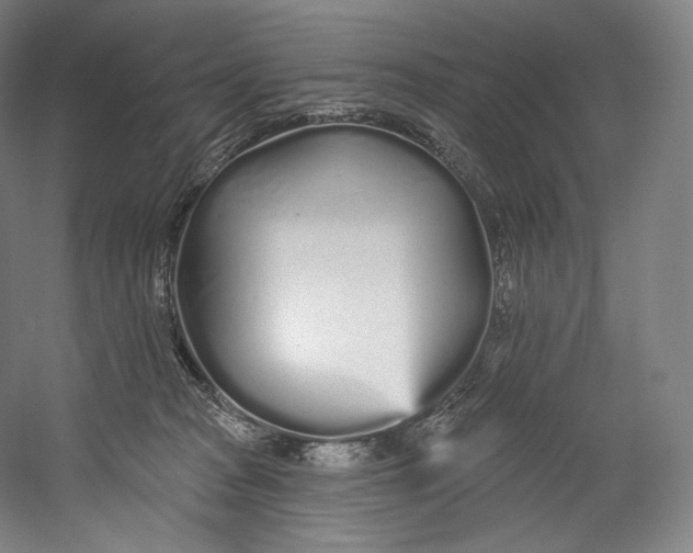 X0000055210277200508301330.png