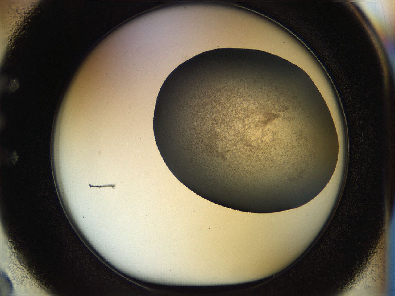 056k_E2_ImagerDefaults_3.jpg