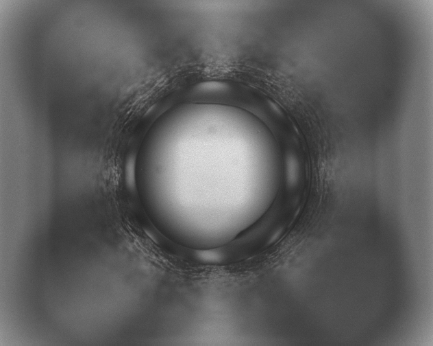 X0000038921250200409290956.png