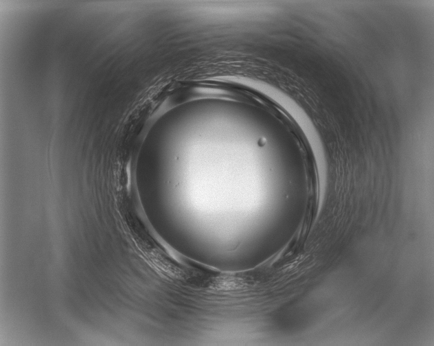 X0000055060750200508161645.png