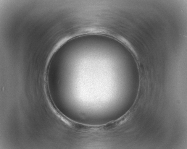 X0000054331381200508111907.png