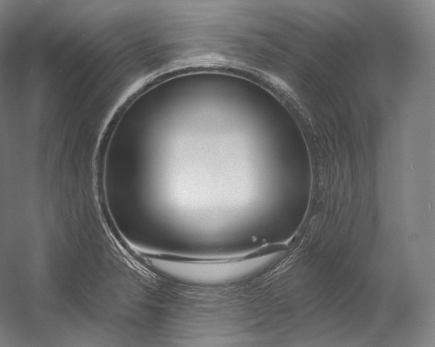 X0000055211326200508301311.png