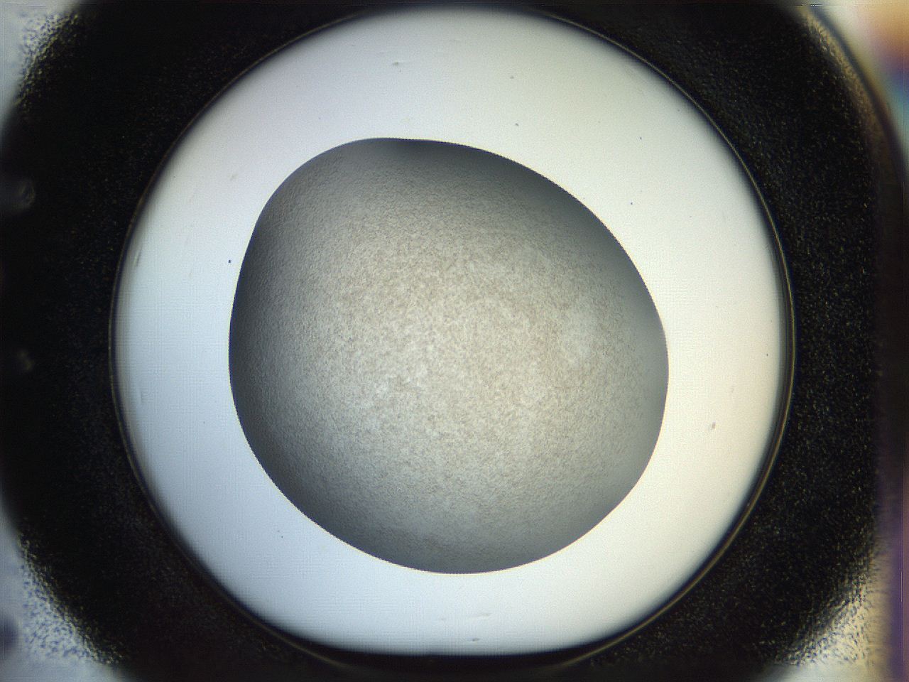 056k_E5_ImagerDefaults_2.jpg