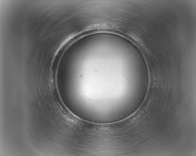 X0000055061070200508161639.png