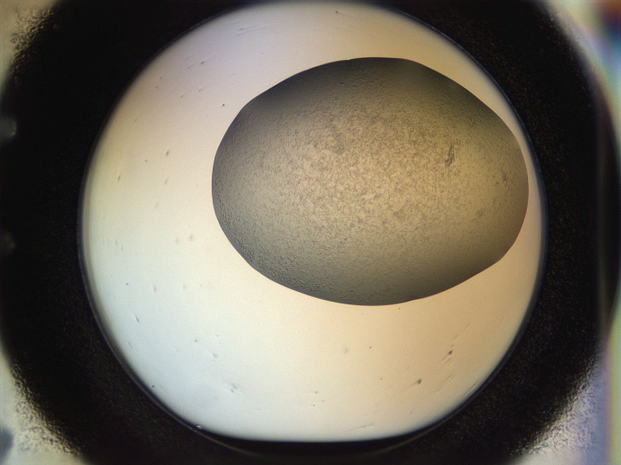 056k_E7_ImagerDefaults_2.jpg